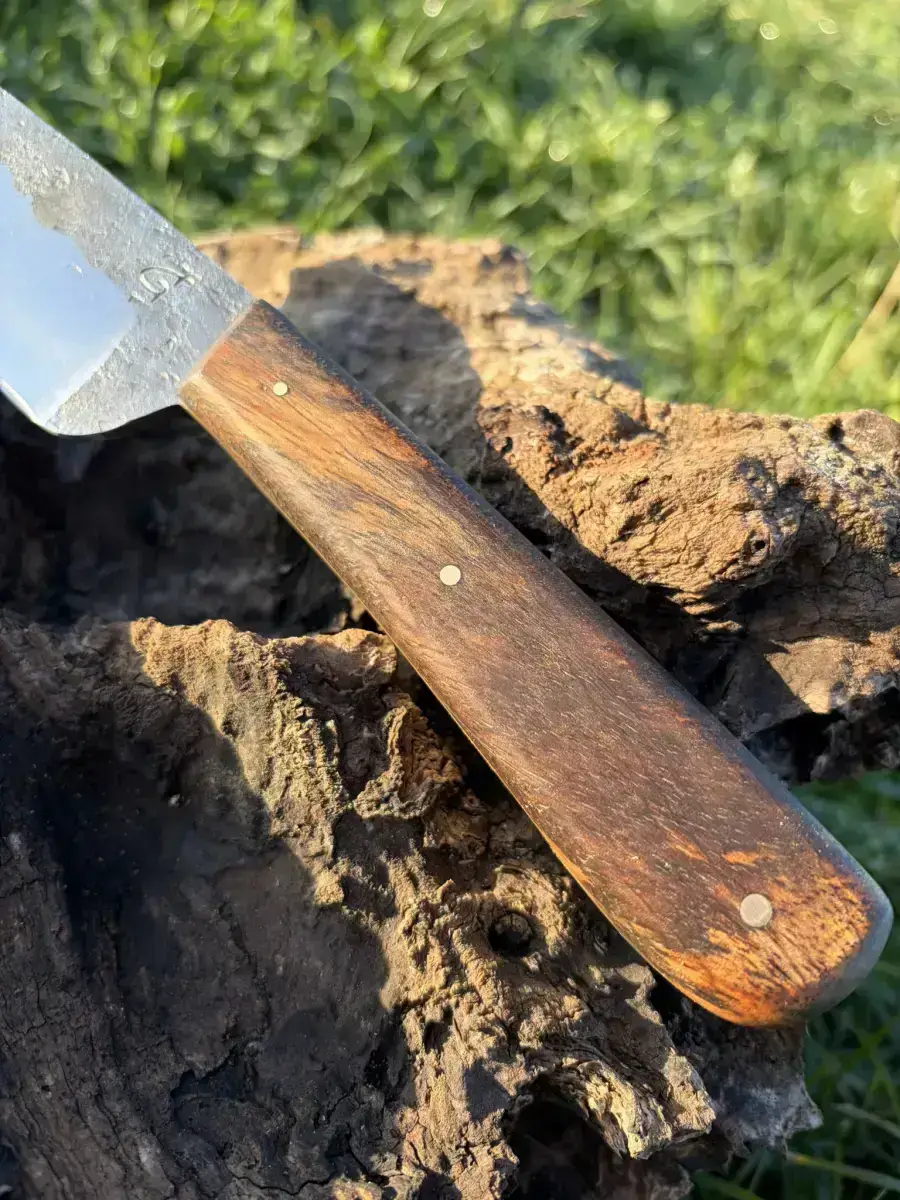 Le p'tit Exotique - Image 2