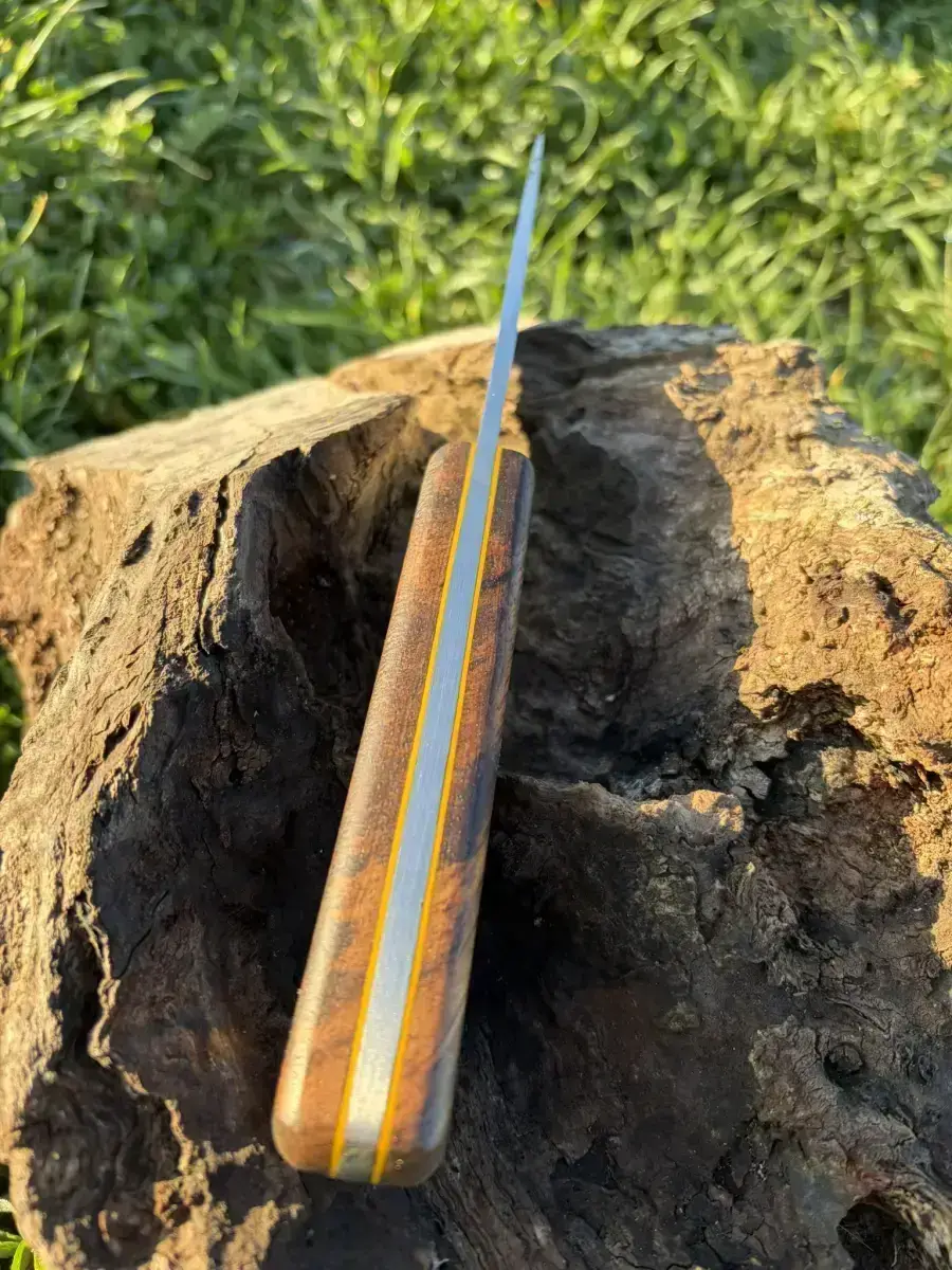 Le p'tit Exotique - Image 3