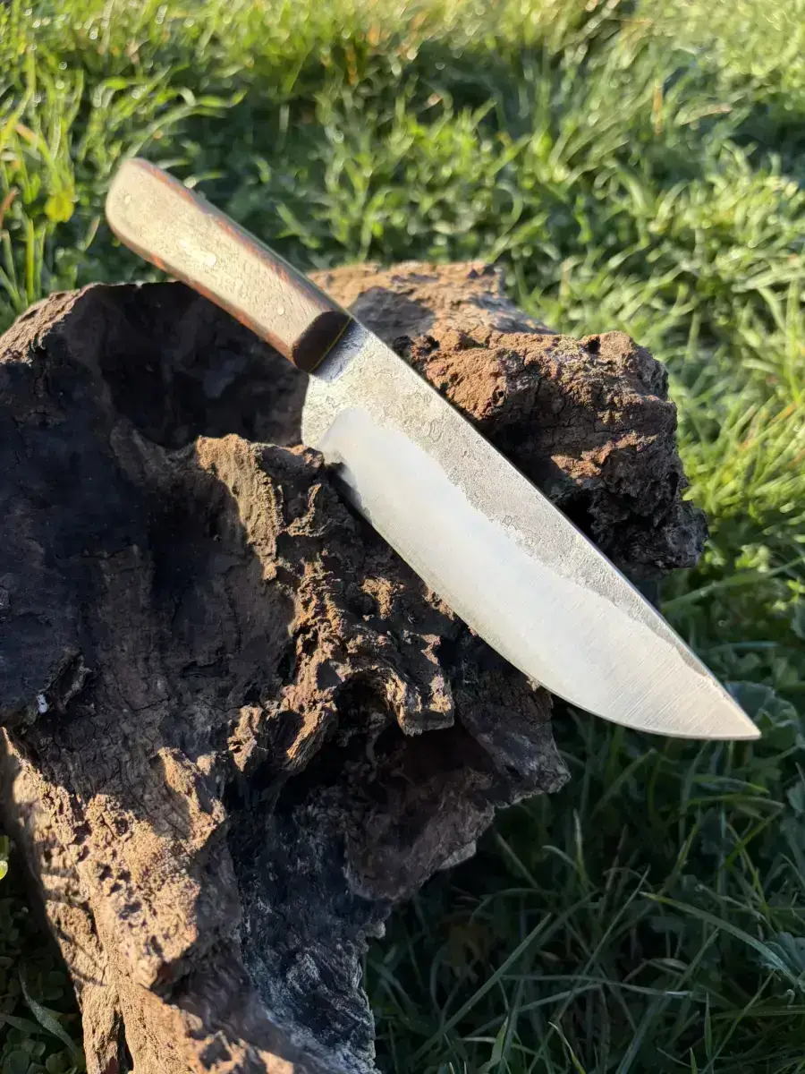 Le p'tit Exotique - Image 4