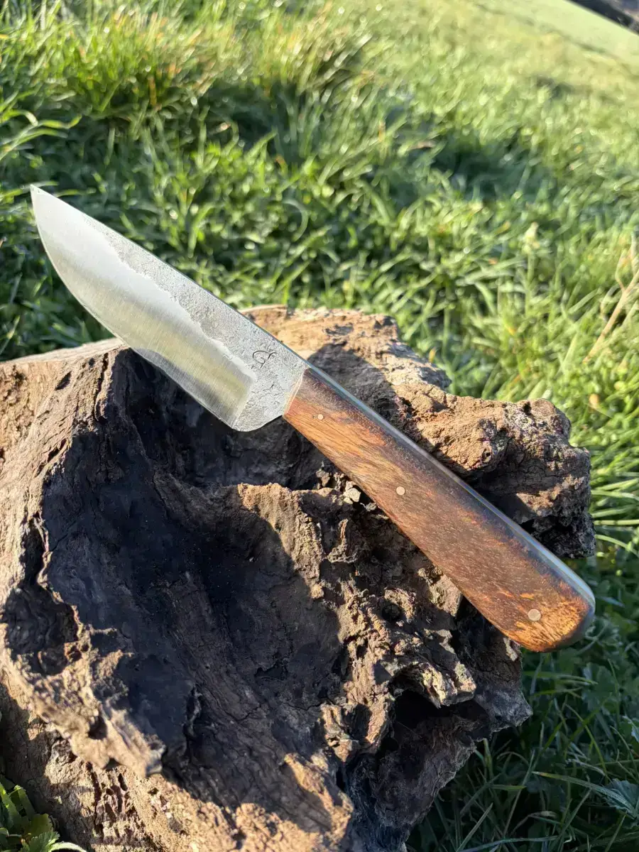 Le p'tit Exotique - Image 5