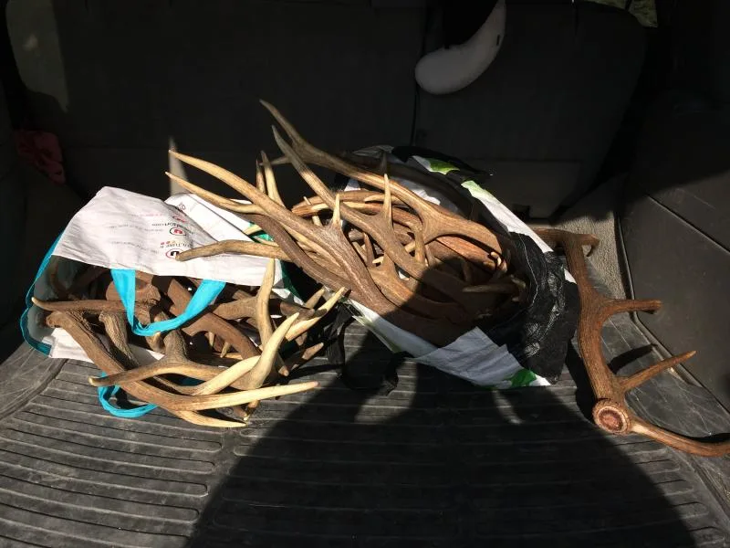 Couteaux Valloire - Image 2