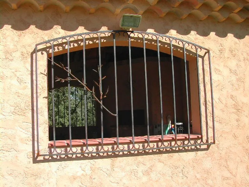 GRILLE DE DEFENSE - Image 4