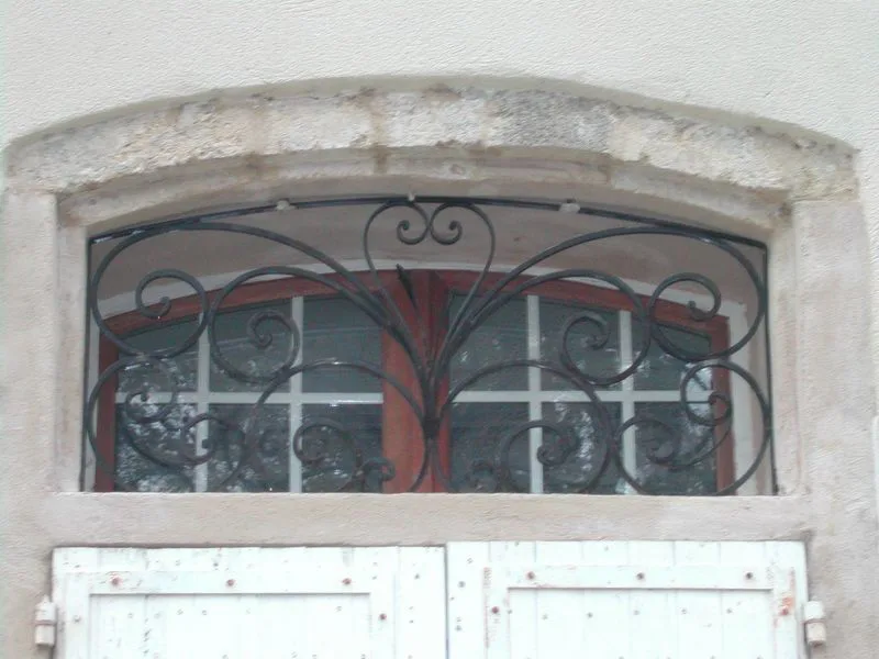 GRILLE DE DEFENSE - Image 5