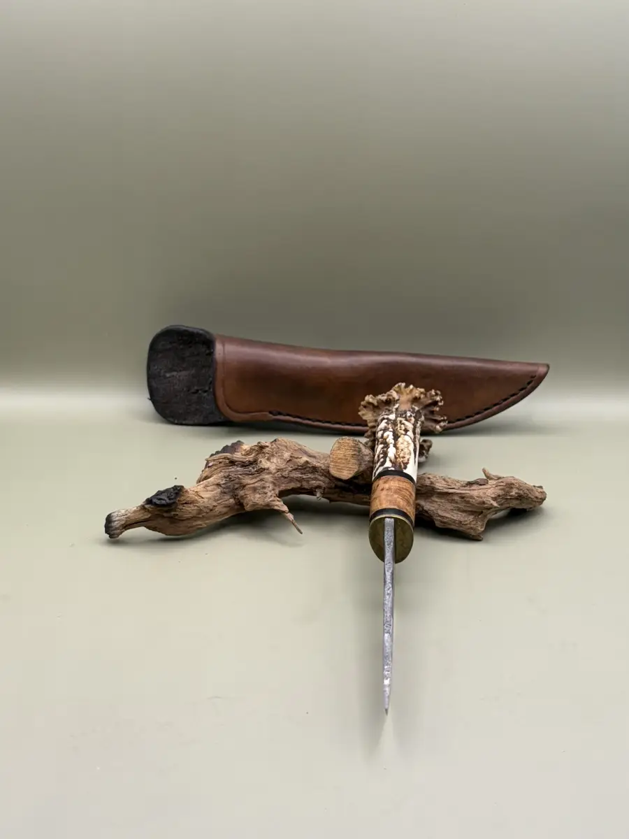 Le Forestier - Image 3