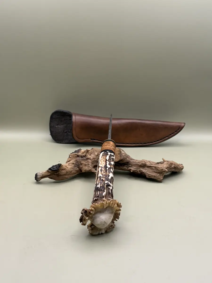 Le Forestier - Image 4