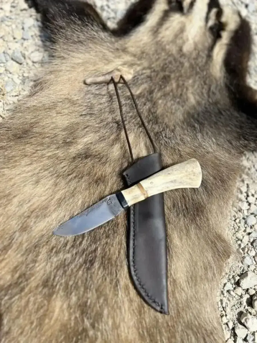 Le Nordique - Image 4