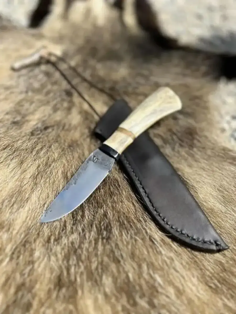 Le Nordique - Image 5