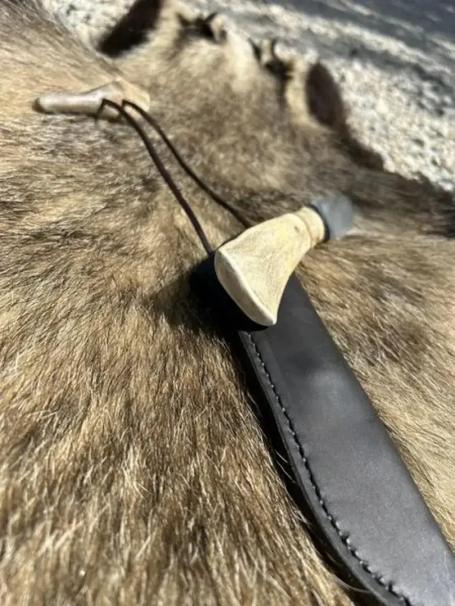 Le Nordique - Image 7