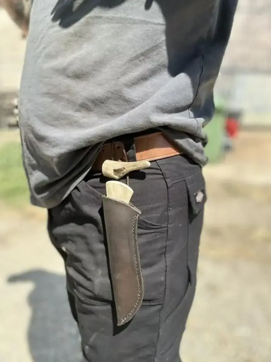 Le Nordique - Image 9