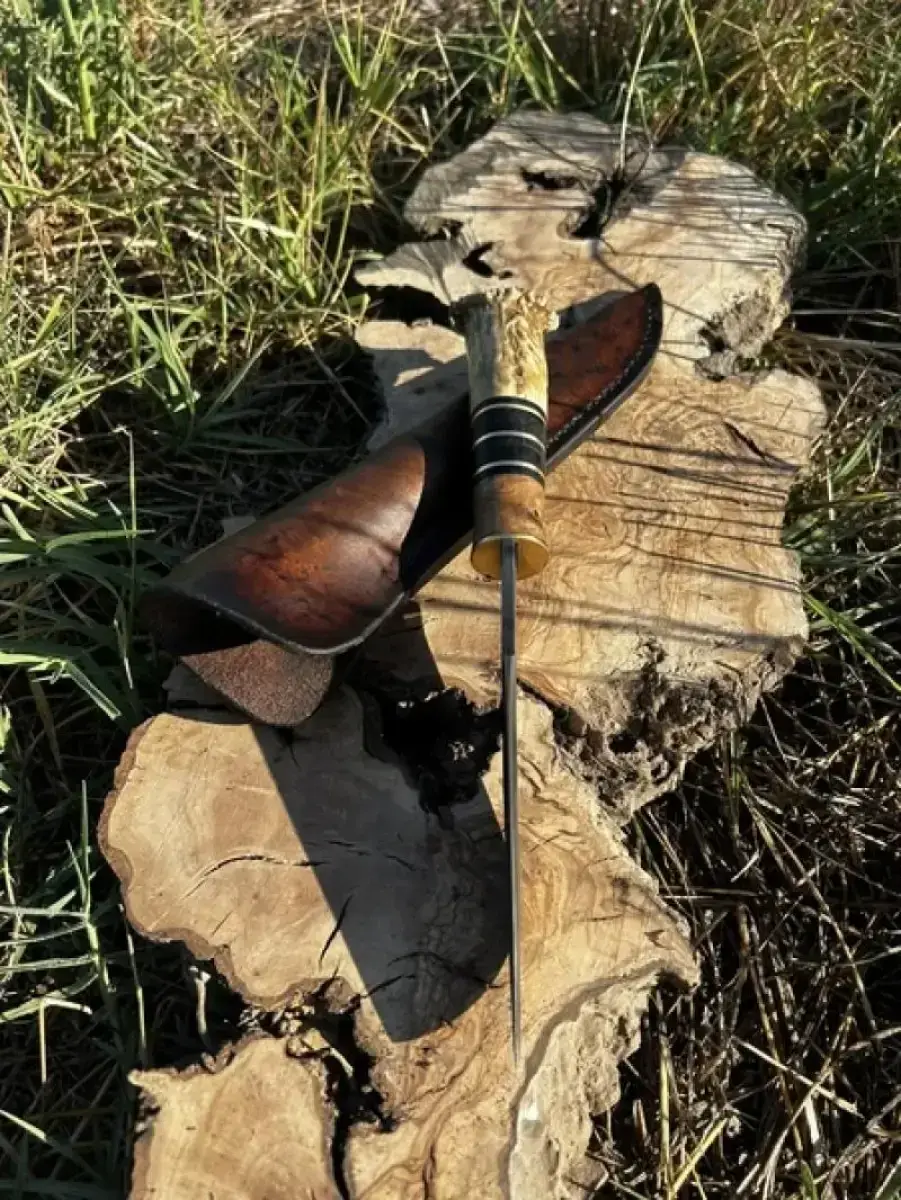 Le Rescapé - Image 4