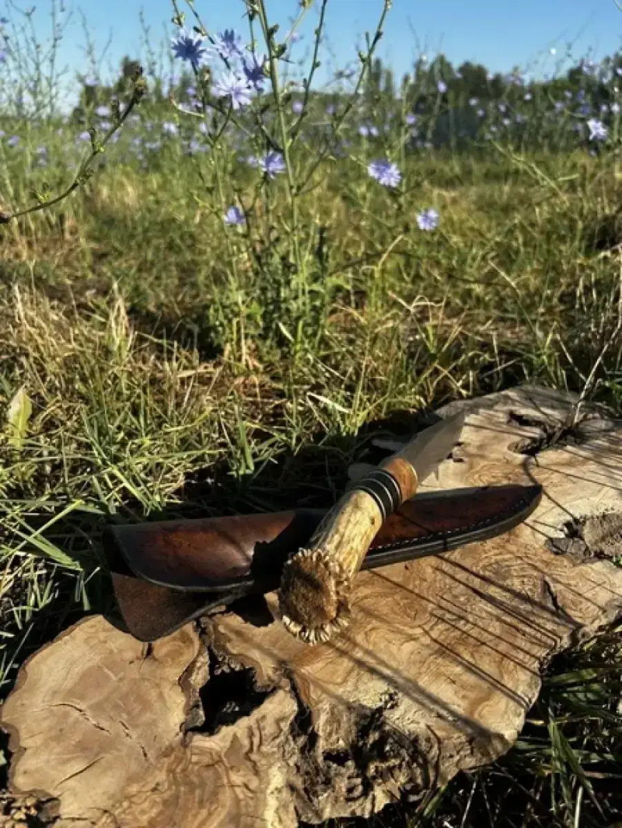 Le Rescapé - Image 5