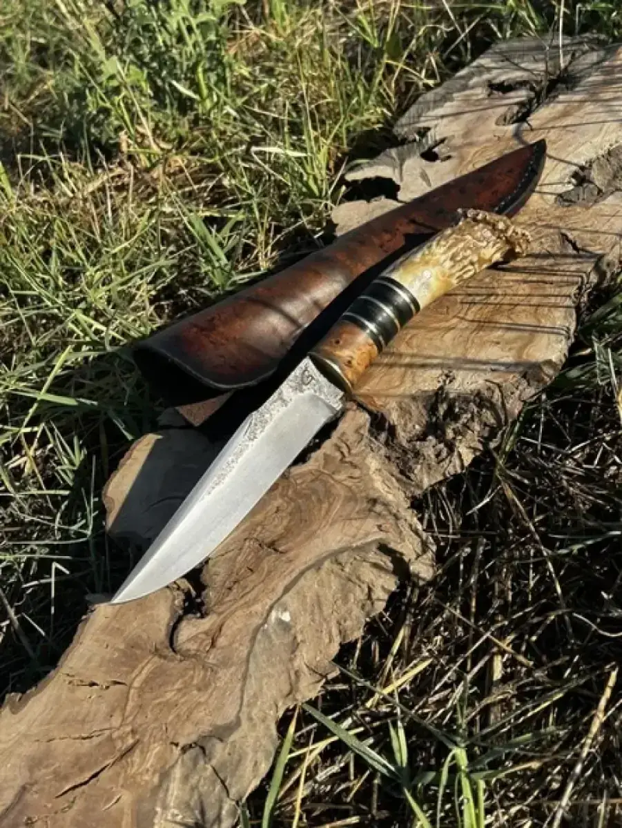 Le Rescapé - Image 6