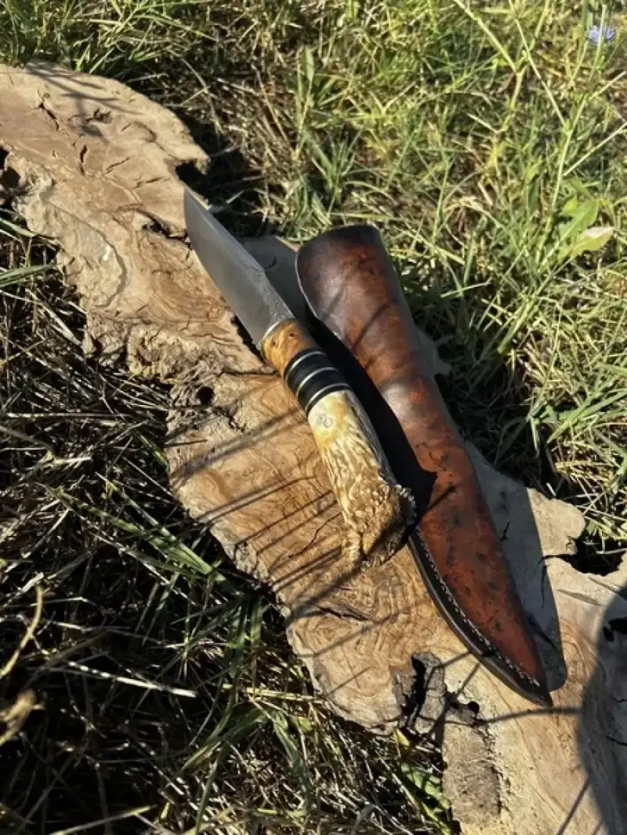 Le Rescapé - Image 7