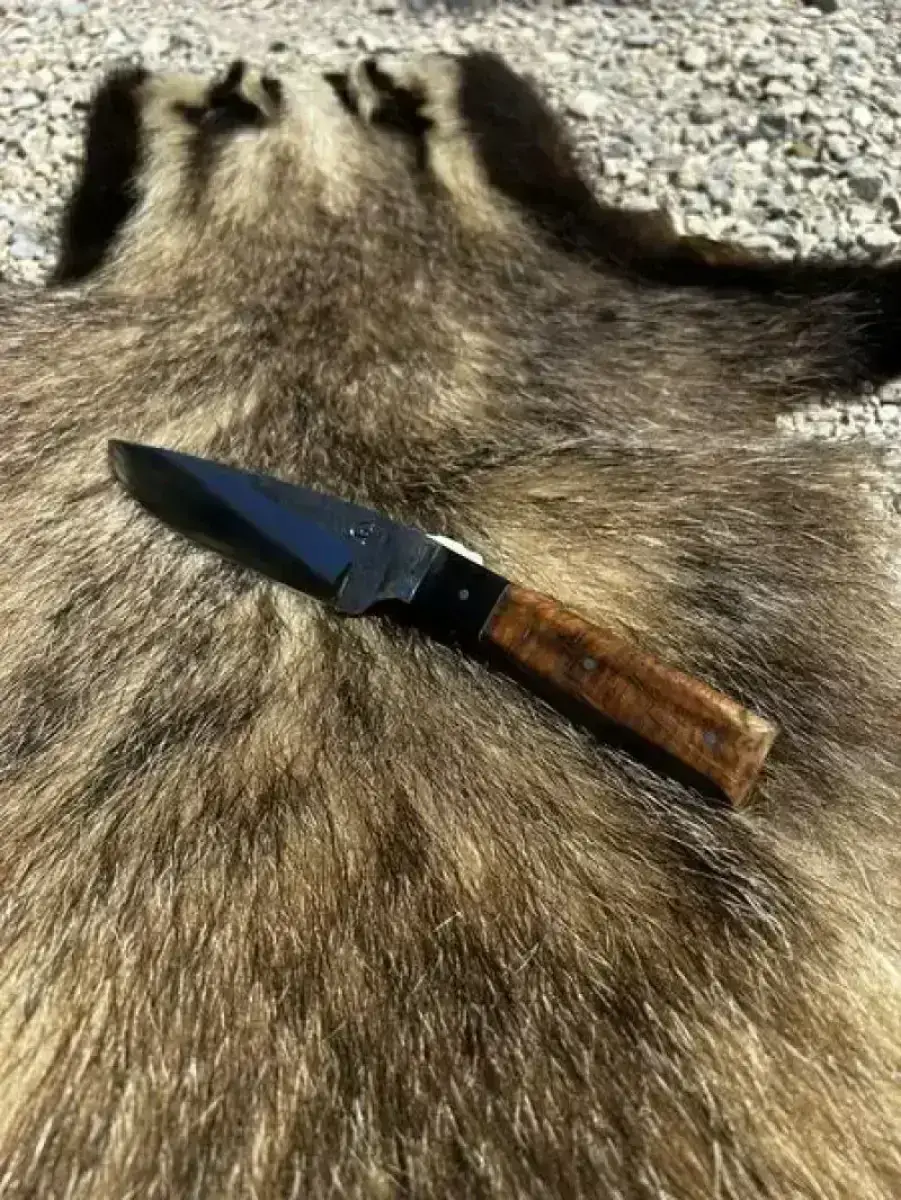 l'Élégant - Image 2