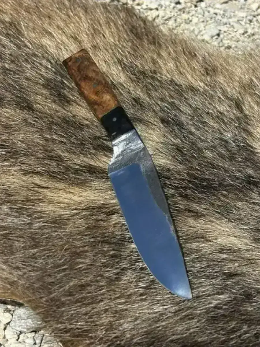 l'Élégant - Image 4