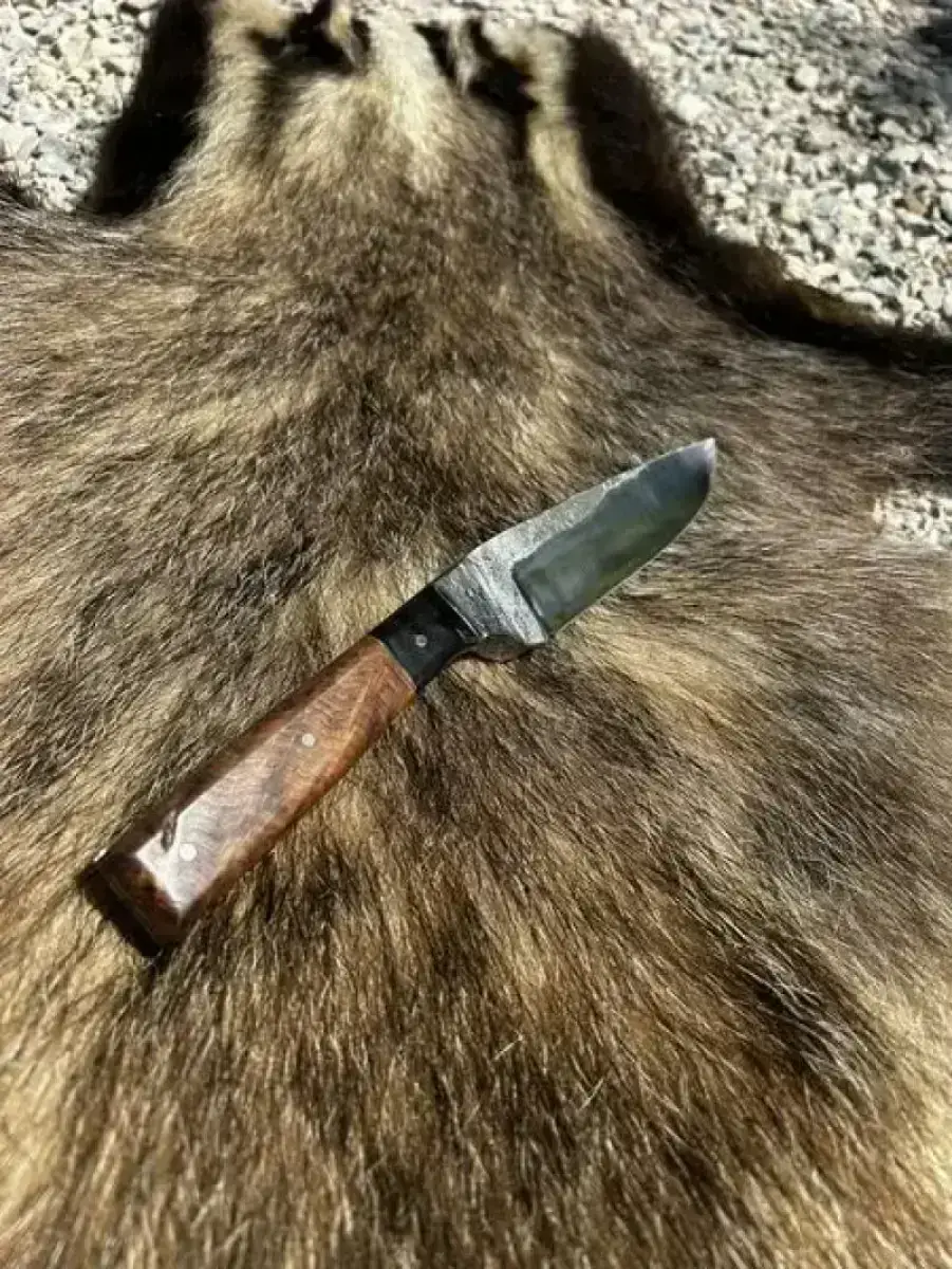 l'Élégant - Image 5