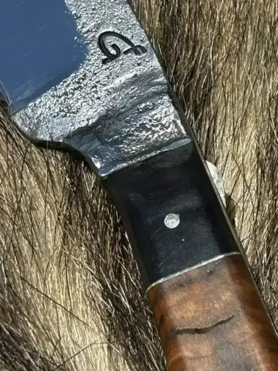 l'Élégant - Image 6