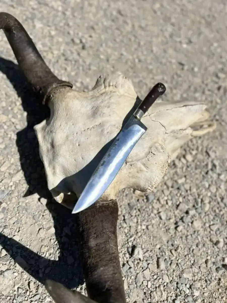 Long Hunter - Image 5