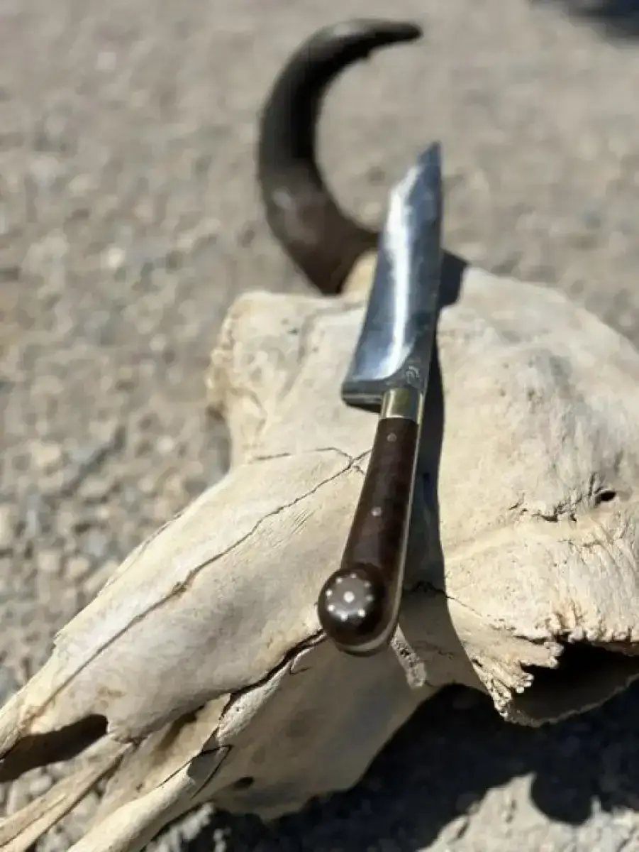 Long Hunter - Image 6