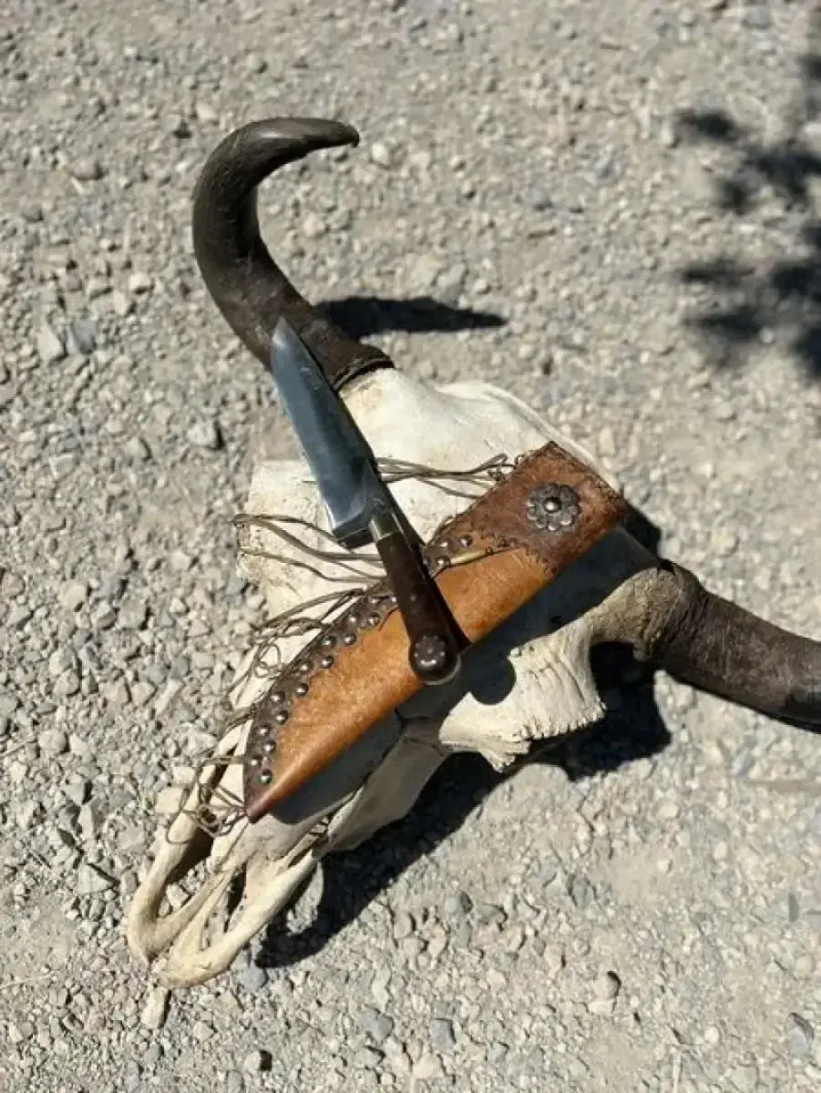 Long Hunter - Image 8