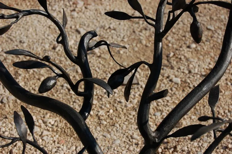 TABLE PIED OLIVIER - Image 5